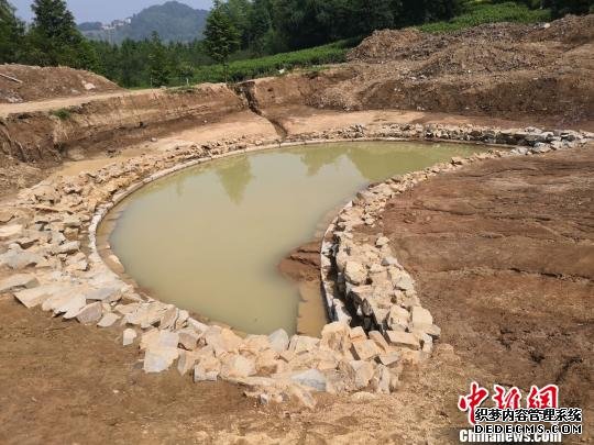 墓址旁水塘为“泮池” 祝原 摄 墓址旁水塘为“泮池” 祝原 摄