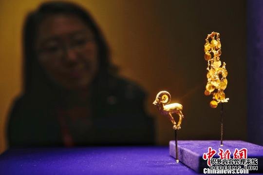 图为市民观展。 泱波 摄 图为市民观展。 泱波 摄