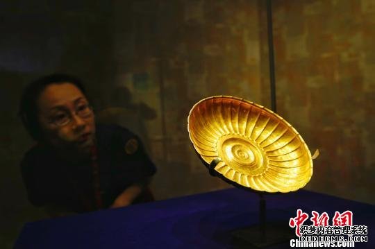 展品吸引了民众的目光。 泱波 摄 展品吸引了民众的目光。 泱波 摄