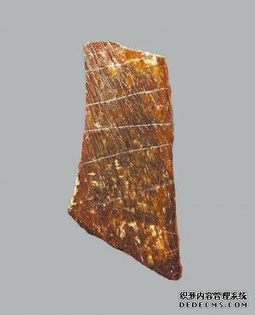 “许昌人”遗址又有新发现 这可能是最早的人类